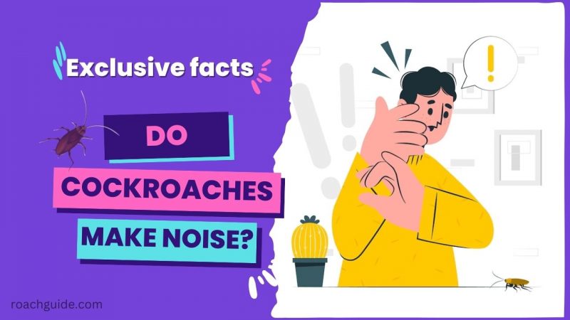 Do Cockroaches Make Noise?