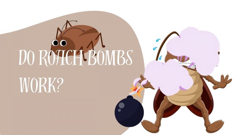 Do Roach Bombs Work? - The Cockroach Guide